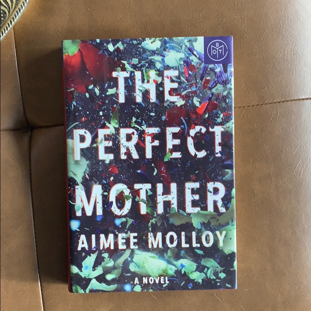 The Perfect Mother by Aimee Molloy